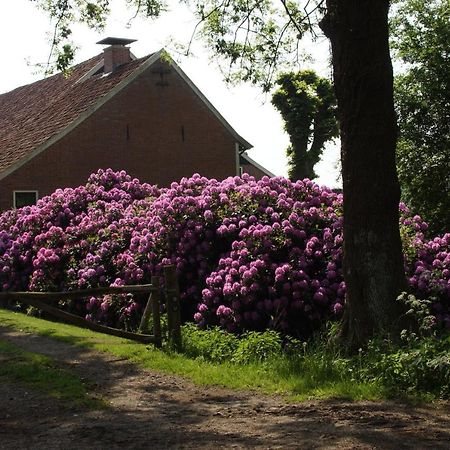 Onstwedde Huis Eedingh מראה חיצוני תמונה